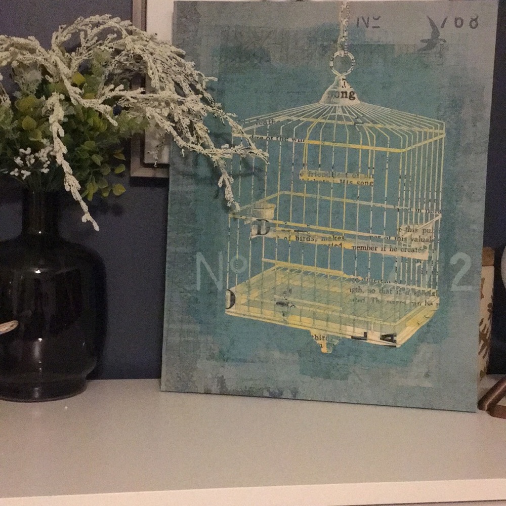 Birdcage picture